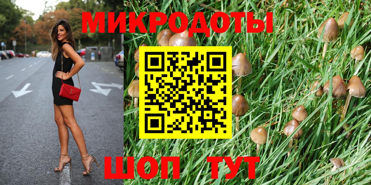 Галлюциногенные грибы Cubensis  цена   Георгиевск  Вход с VPN 