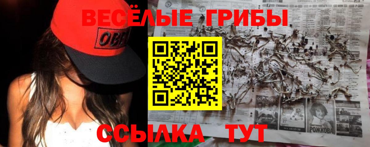 Псилоцибиновые грибы Cubensis Георгиевск